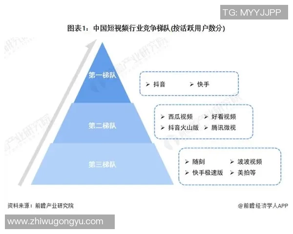 博科与普元的竞争分析及市场前景探讨