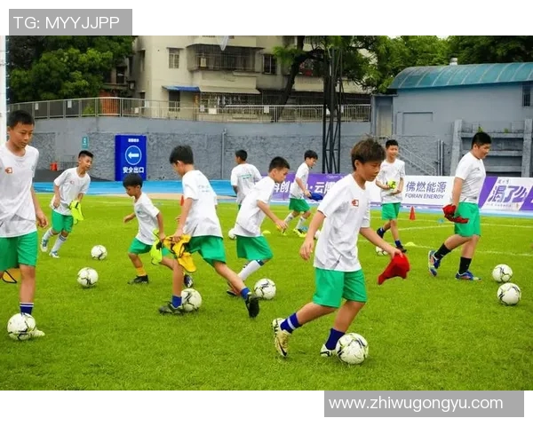 多德与沃夫斯堡的精彩对决揭示足球战术的新趋势与挑战