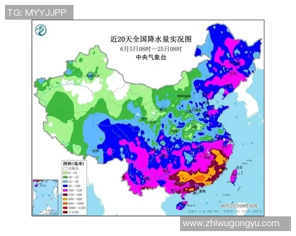 岐阜与德岛的对决分析及赛季表现比较探讨 岐阜与德岛的对决分析及赛季表现比较探讨