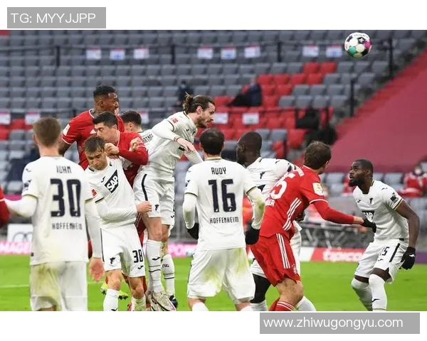 霍芬海姆与杜塞尔多夫的激烈对决前瞻分析及比赛预测 霍芬海姆与杜塞尔多夫的激烈对决前瞻分析及比赛预测