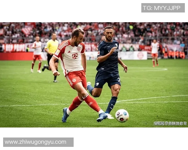 里昂主场迎战拜仁能否抵挡让二球的挑战分析与预测