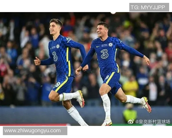 水晶宫主场迎战切尔西激情对决精彩回顾与赛后分析