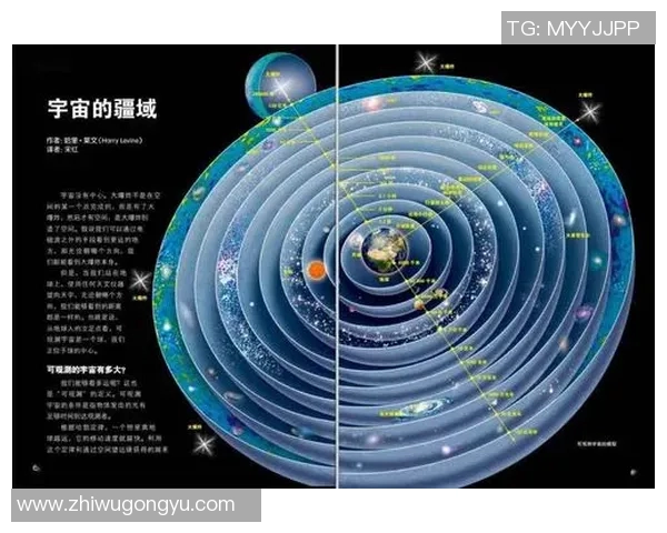 炫舞字谜的魅力探索与解密之旅，揭开舞动文字背后的神秘面纱