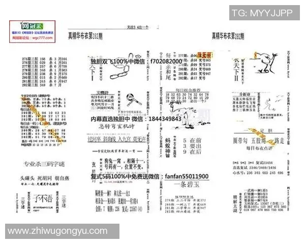 精华布衣4合1全能服饰体验打造时尚与舒适的完美结合 精华布衣4合1全能服饰体验打造时尚与舒适的完美结合